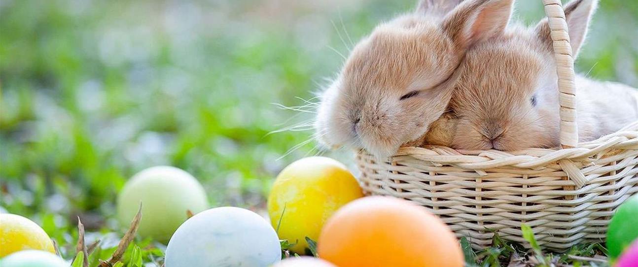 11 fun things to do in Perth this Easter