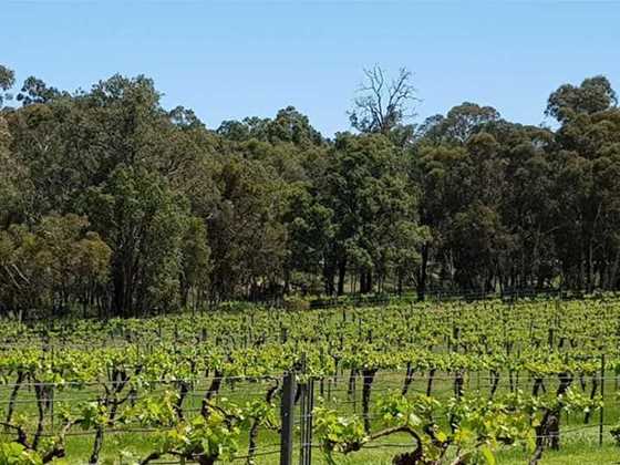 Stunning wineries in the Chittering Valley, just one hour from Perth