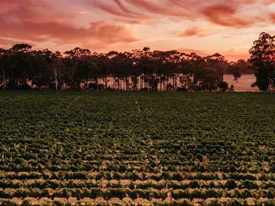 Two Margaret River wines make top 50 of 18,000 at Decanter Awards
