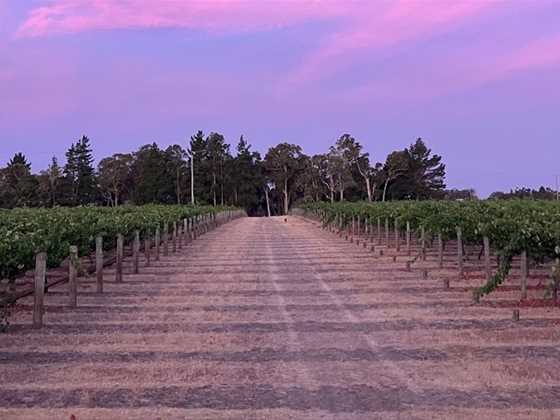 A record-breaking vintage in the Blackwood Valley for 2024