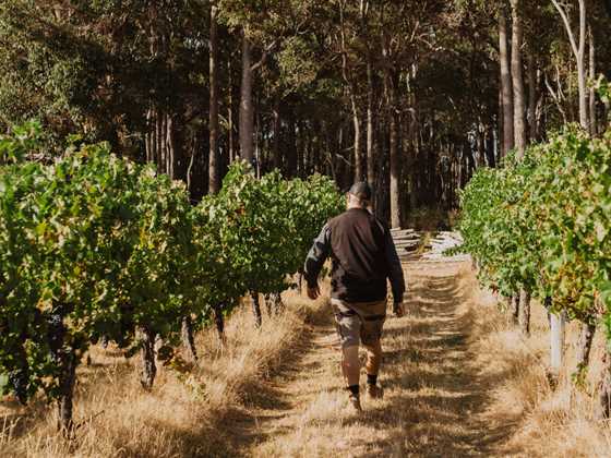 Margaret River experiences earliest vintage on record for 2024