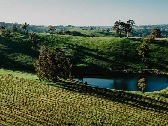 A challenging but fruitful harvest: 2024 Geographe wine vintage report
