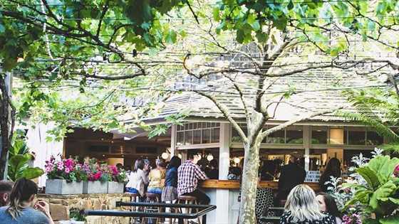 Beer gardens to explore across Perth