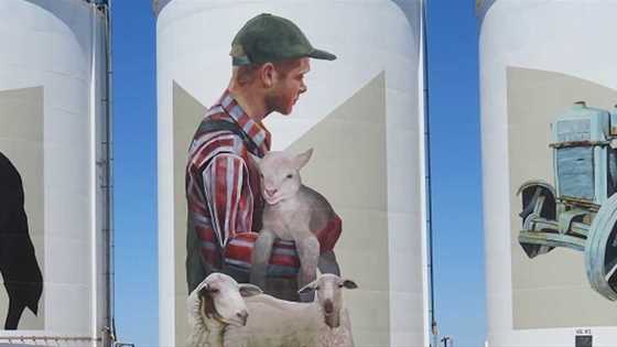 Discover WA's silo art trails