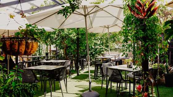 Best Perth garden cafes