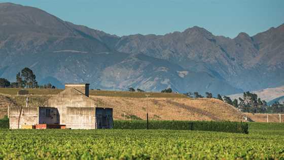 New Zealand winery among the best 50 in the world