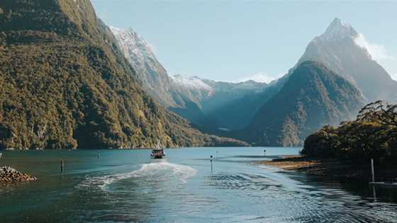 TripAdvisor’s top New Zealand experiences for 2024