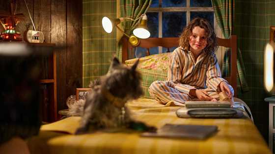 Your guide to school holiday films for families in Perth