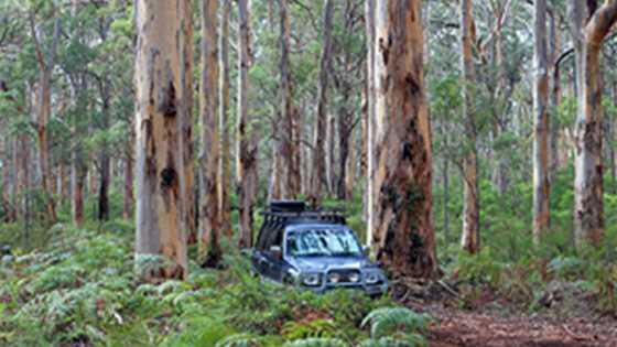 4WD top tips