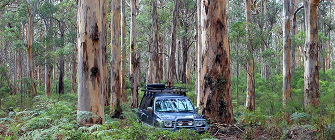 4WD Top Tips