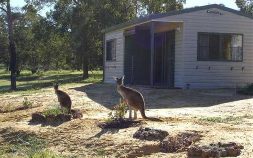 Coomallo Park Chalets, Accommodation in Badgingarra