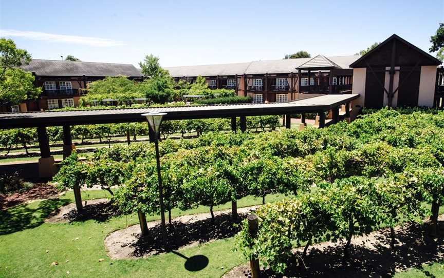 The Vines Resort, Accommodation in The Vines