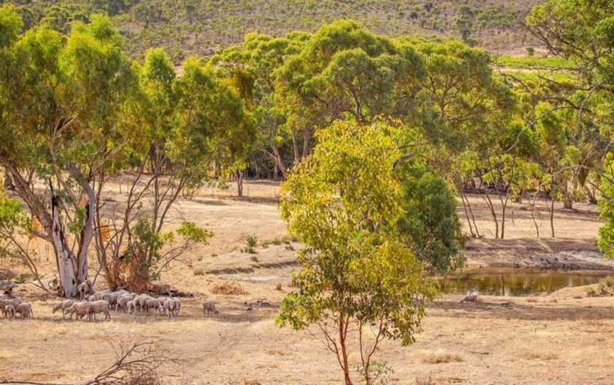 Neagles Retreat Villas, Gillentown, SA