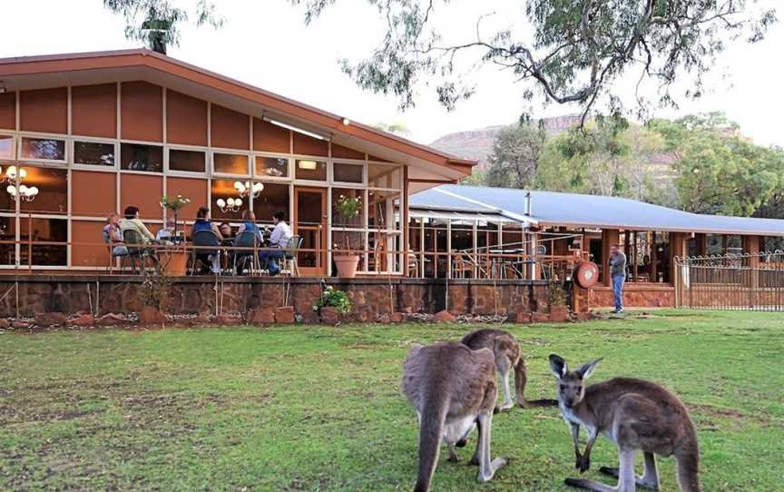 Ikara Safari Camp, Flinders Ranges, SA