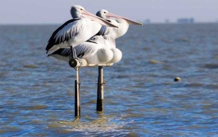 Pelican Perch Retreat, Meningie, SA