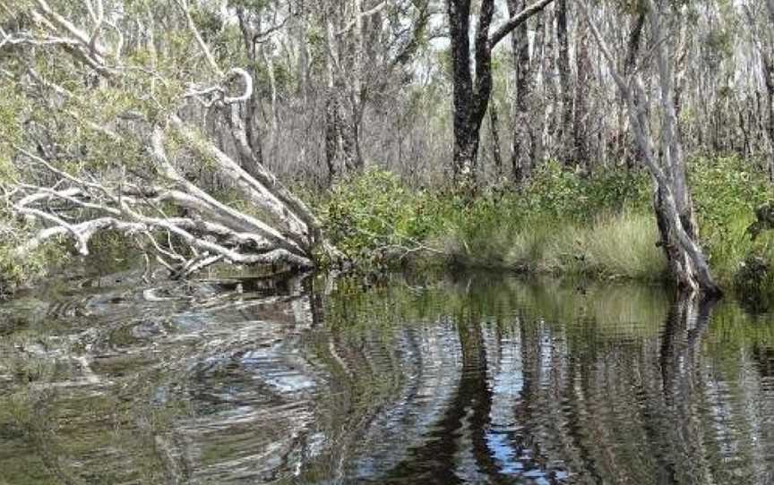 Beechs' Brook Rainforest Retreat, Cootharaba, QLD