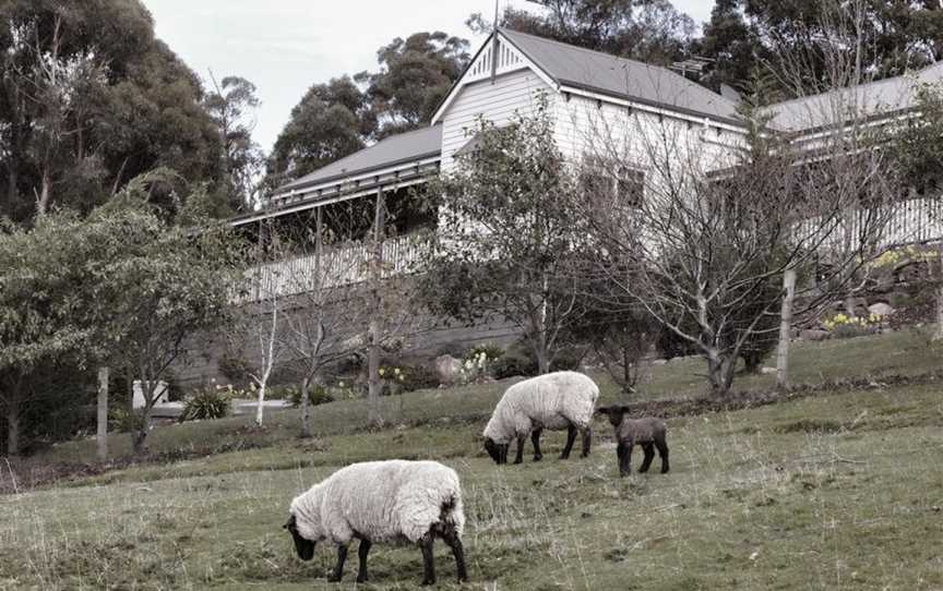 House on the Hill Bed and Breakfast, Huonville, TAS