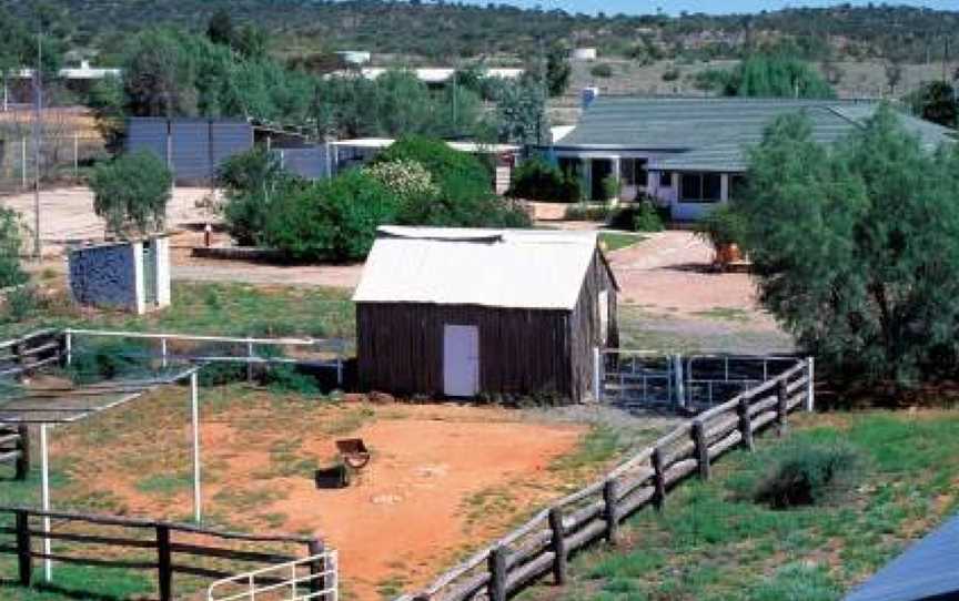 Bond Springs Outback Retreat, Accommodation in Burt Plain