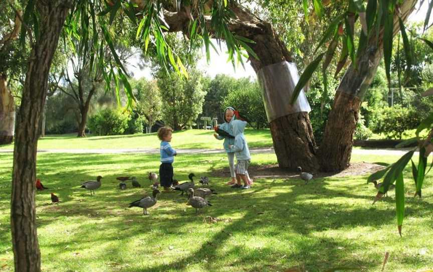 Kennett River Holiday Park, Kennett River, VIC