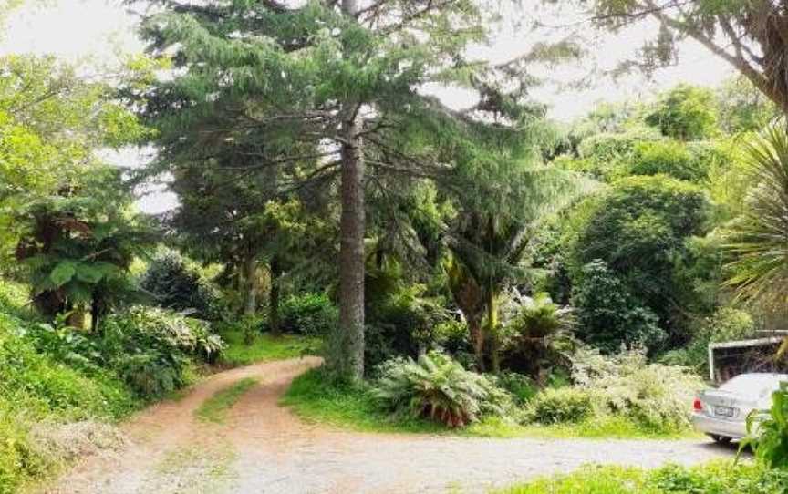 Quirky Woods, Papamoa, New Zealand