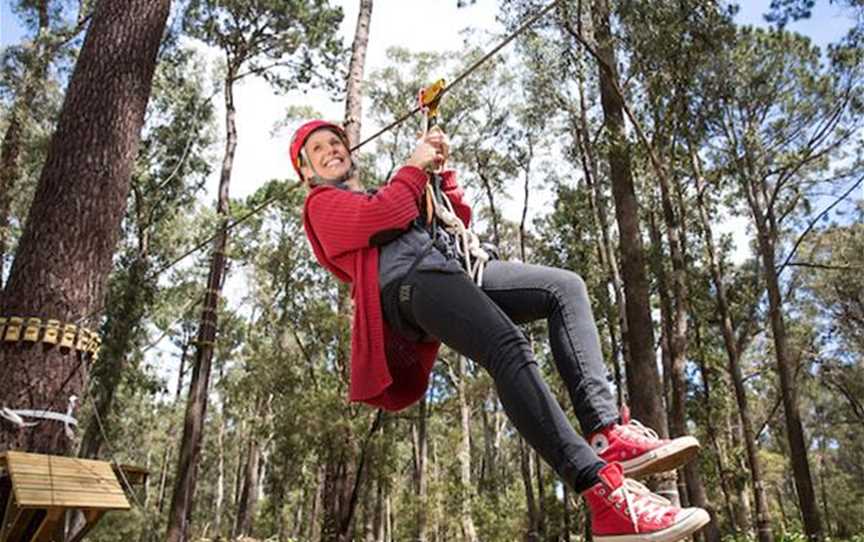 Family Adrenaline Adventure Park, Attractions in Busselton - Suburb