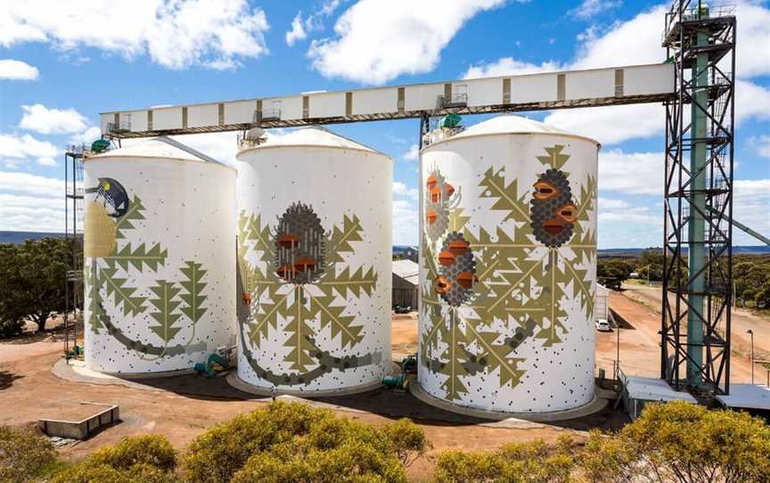 Six Stages of Banksia baxteri by Amok Island in Ravensthorpe for PUBLIC Silo Trail, 2016. Photograph by Bewley Shaylo