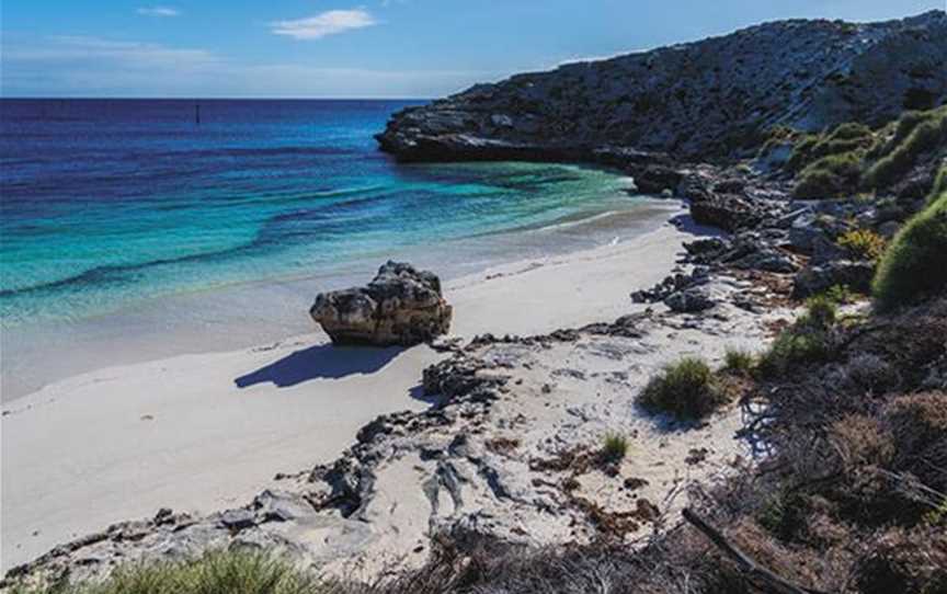 Snorkelling At Mary Cove, Attractions in Rottnest Island