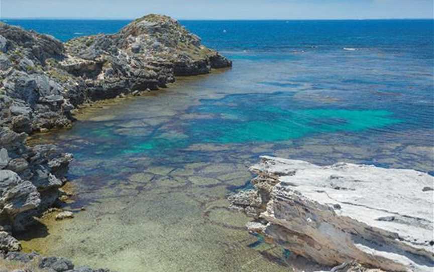 Snorkelling In Jeannie's Pool, Attractions in Rottnest Island