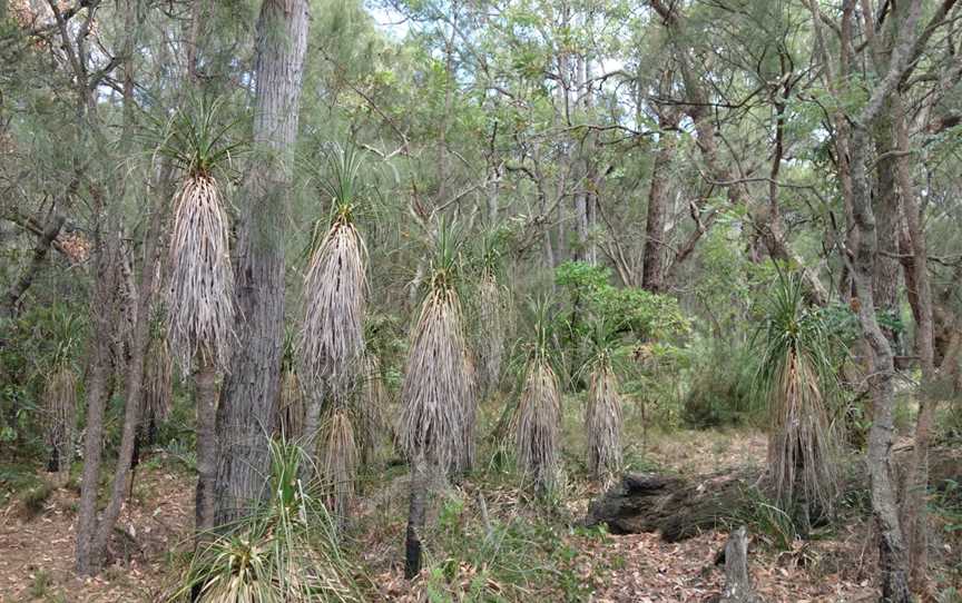 Yelverton National Park