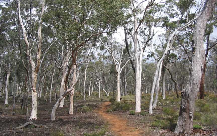 Ochre Trail