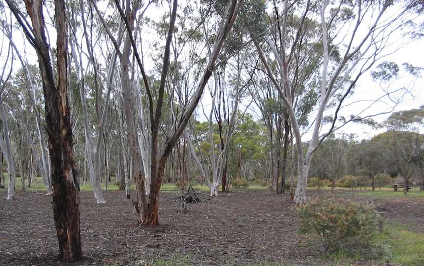 Dryandra Aboretum