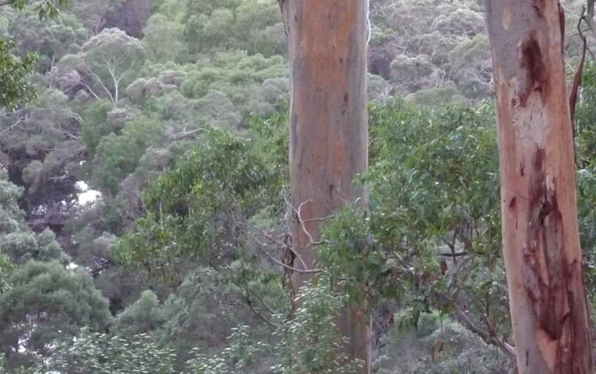 Warren  Lookout