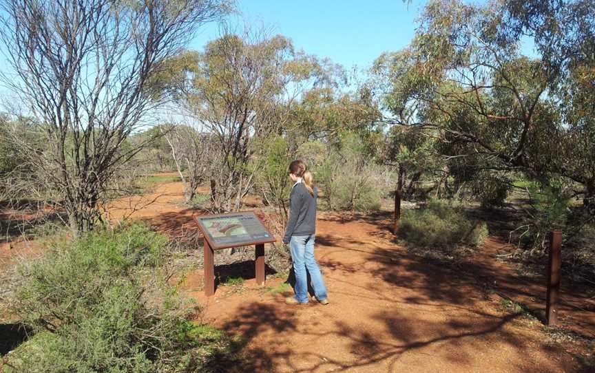 Irwin Lookout