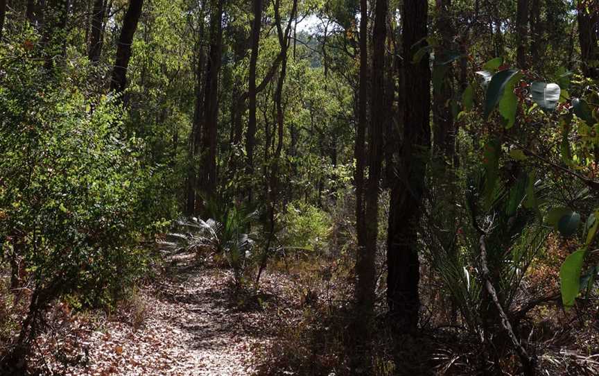 King Jarrah Walk Trail