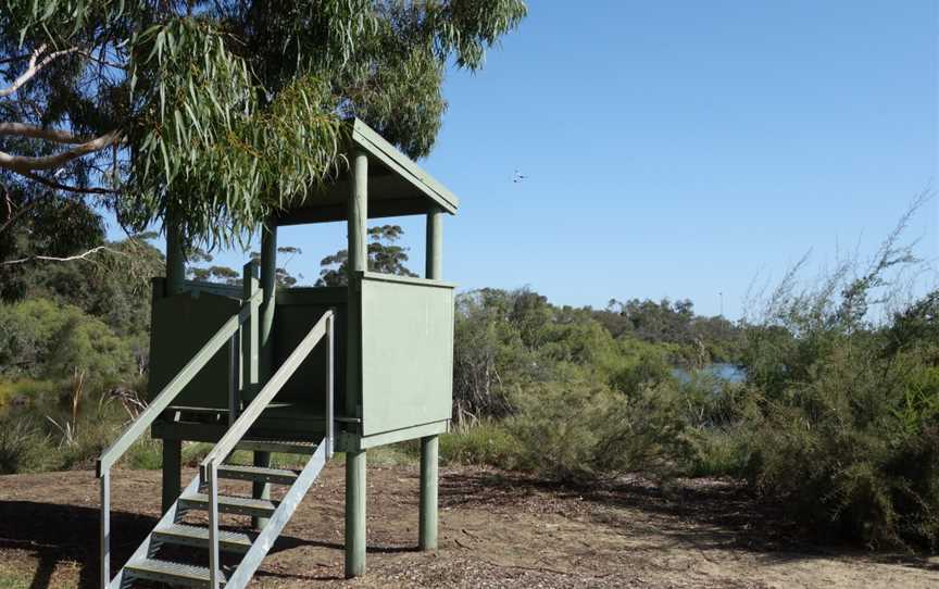 Wilson Wetlands