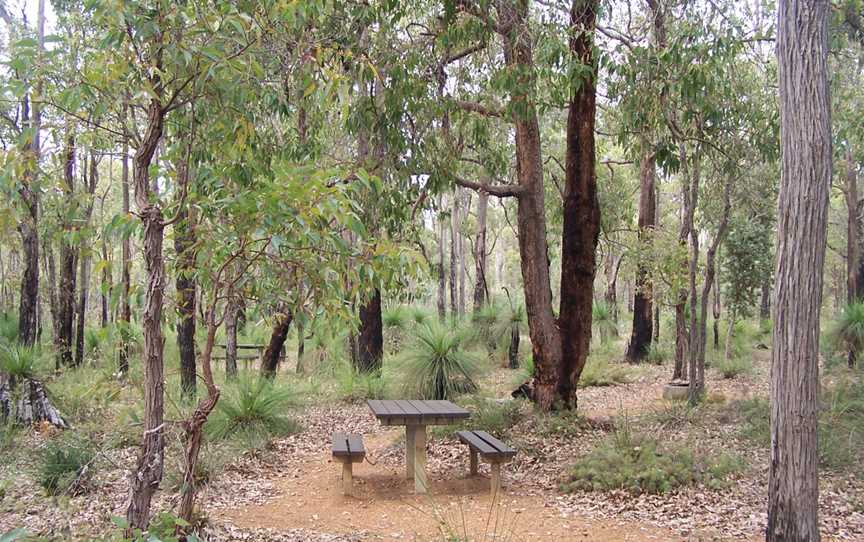 Grevillea Mycumbene