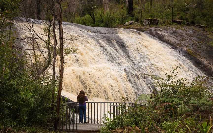 Boorara Tree and Lane Poole Falls, Attractions in Boorara Brook