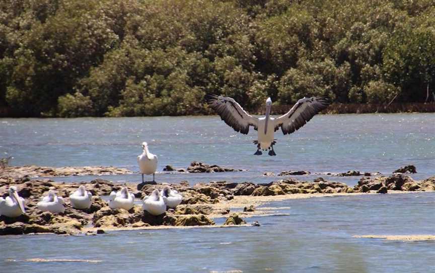 Mangrove Bay, Attractions in Cape Range National Park