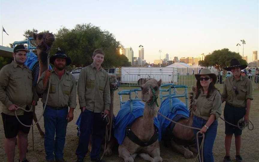 Humpy Camels, Attractions in -