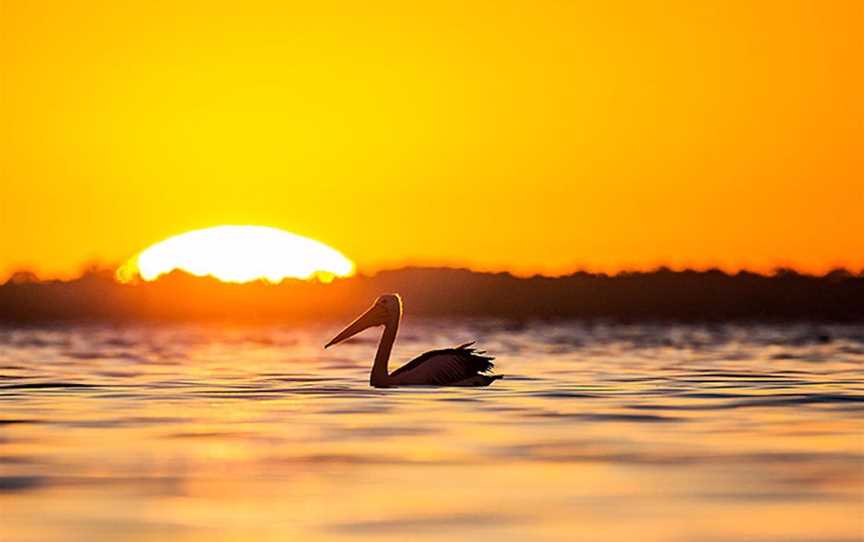 Three Hour Sunset and Chill Cruise - Soul Mate Charters, Attractions in Mandurah - Town