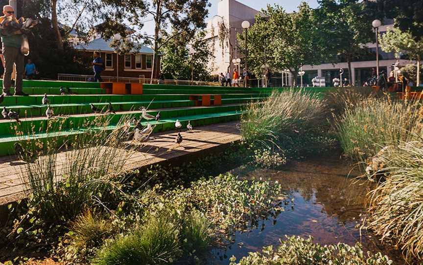 Urban Wetland, Attractions in Perth CBD
