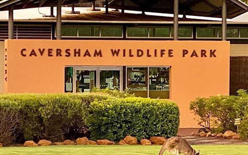 Caversham Wildlife Park, Attractions in Caversham