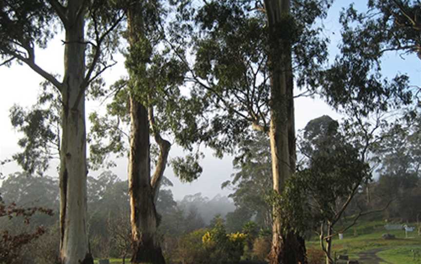 The Tasmanian Arboretum, Devonport, TAS