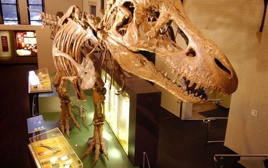 Australian Fossil and Mineral Museum, Tourist attractions in Bathurst-town