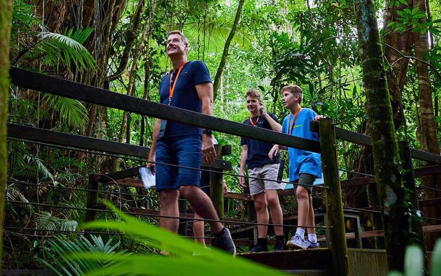 Daintree Discovery Centre, Attractions in Daintree