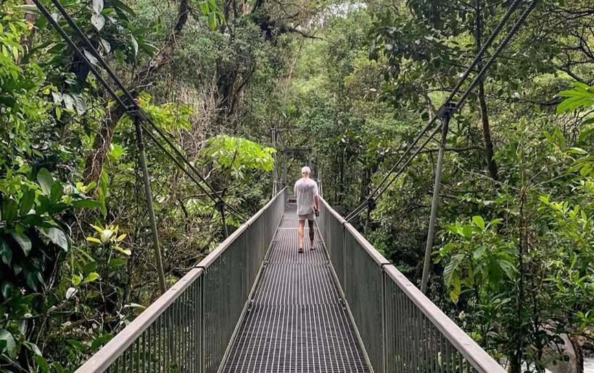 Daintree Discovery Centre, Attractions in Daintree