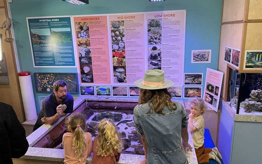 Central Coast Marine Discovery Centre, Tourist attractions in Terrigal