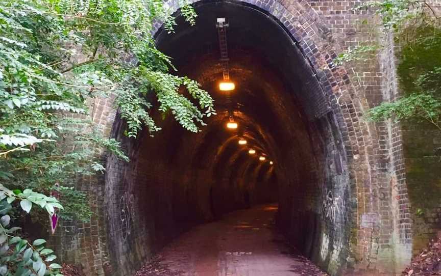 Ernest Junction Railway Tunnel, Tourist attractions in Molendinar