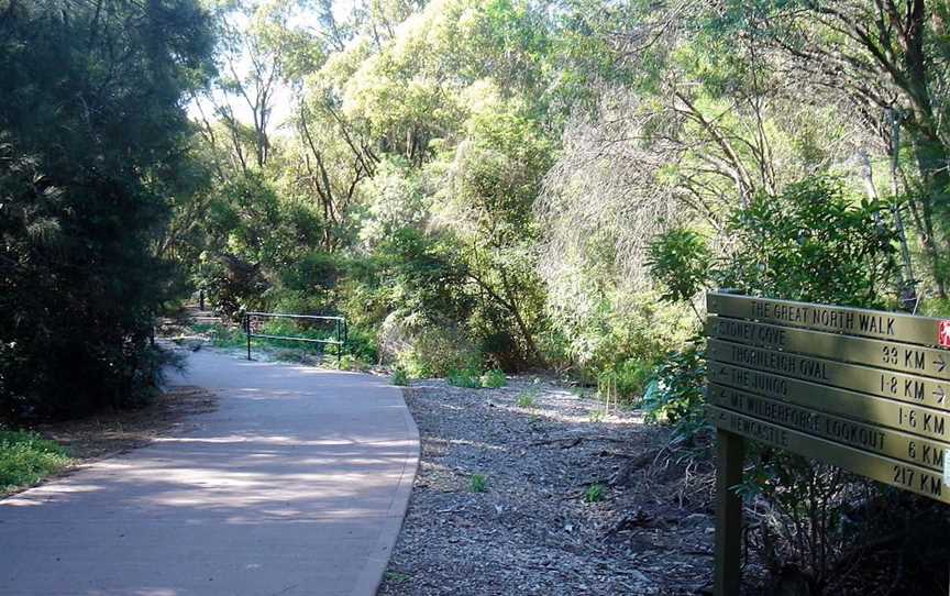 Great North Walk, Attractions in Lane Cove North