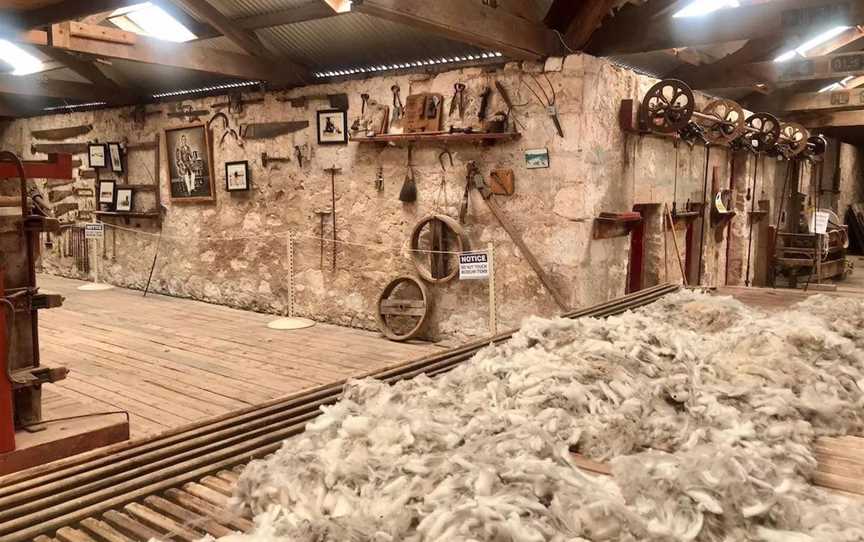 Mount Dutton Bay Woolshed, Attractions in Wangary